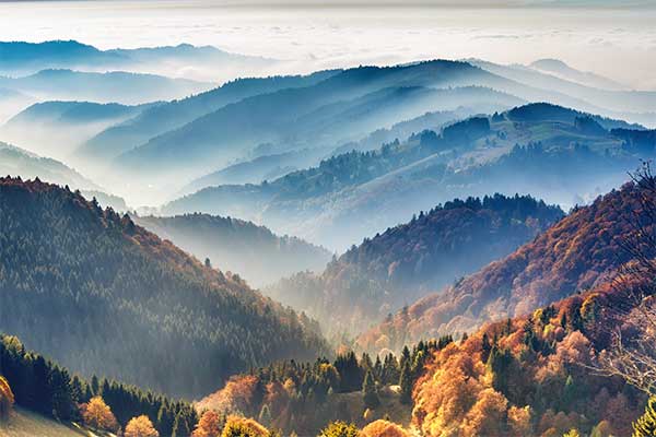 Black Forest Rail and Sail