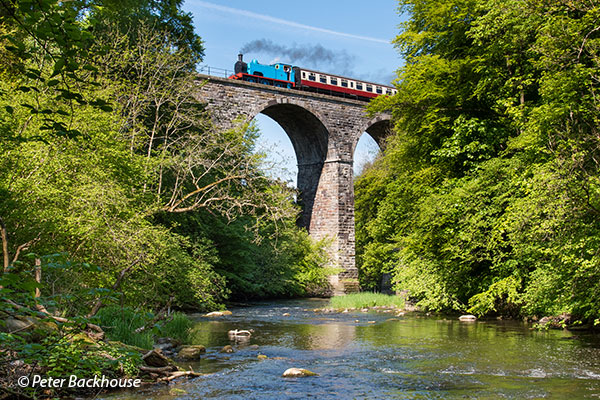 Majestic Scottish Borders