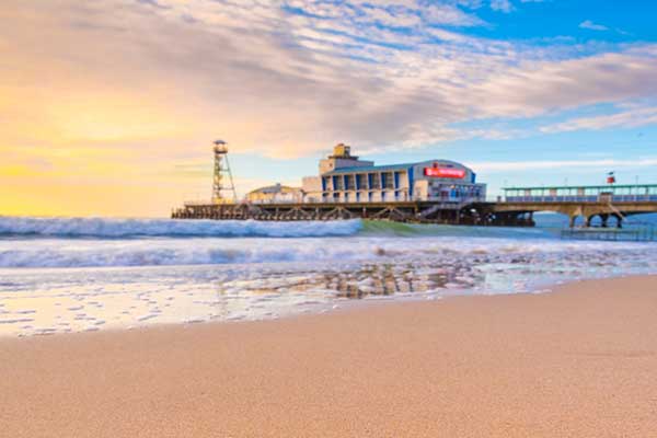 Gems of the Jurassic Coast and the New Forest