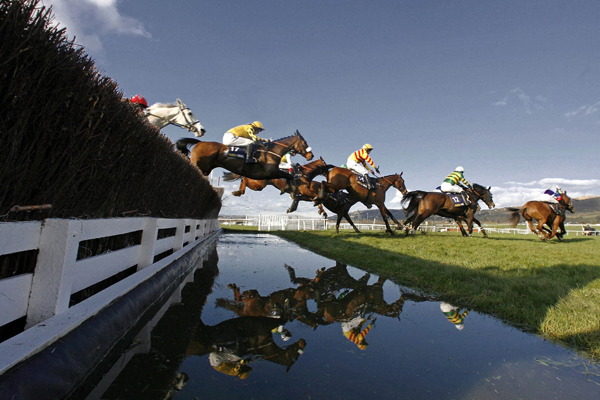 Cheltenham Races inc. Behind the Scenes Tour