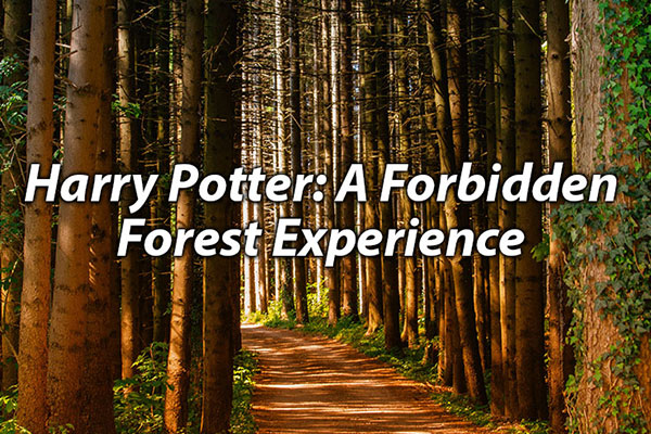 Harry Potter - A Forbidden Forest Experience
