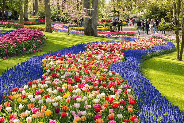 Keukenhof Gardens, by Full Board River Boat