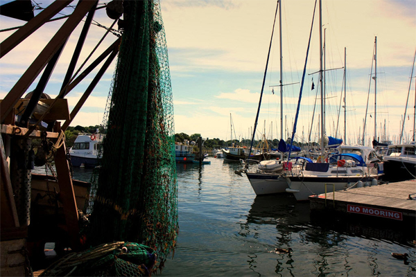 Lymington (Market Day) 