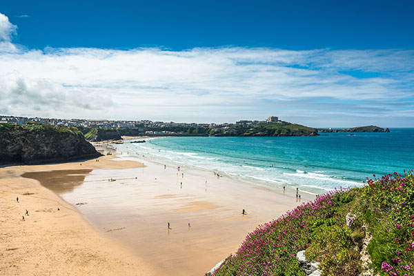 North Coast of Cornwall Turkey & Tinsel