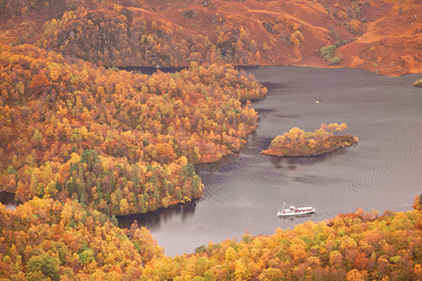 Singles in the Lochs and Glens of Scotland